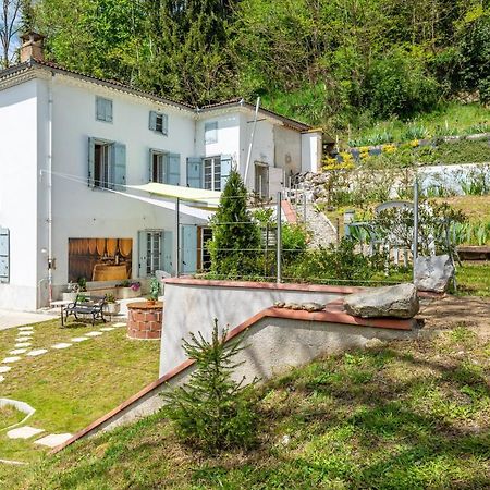 Le Mas de la Coupière Serres-sur-Arget Esterno foto